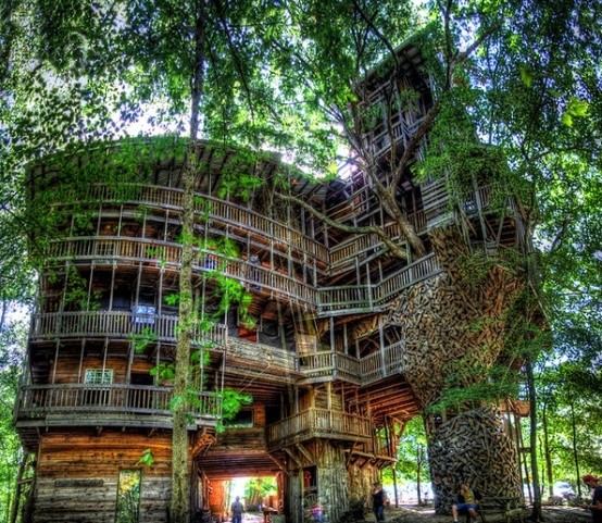 Photo:  The Minister's Tree House